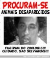 /album/galeria-de-fotos/a1f7deddaf541202b8070ba54d2fa0b35-jpg/